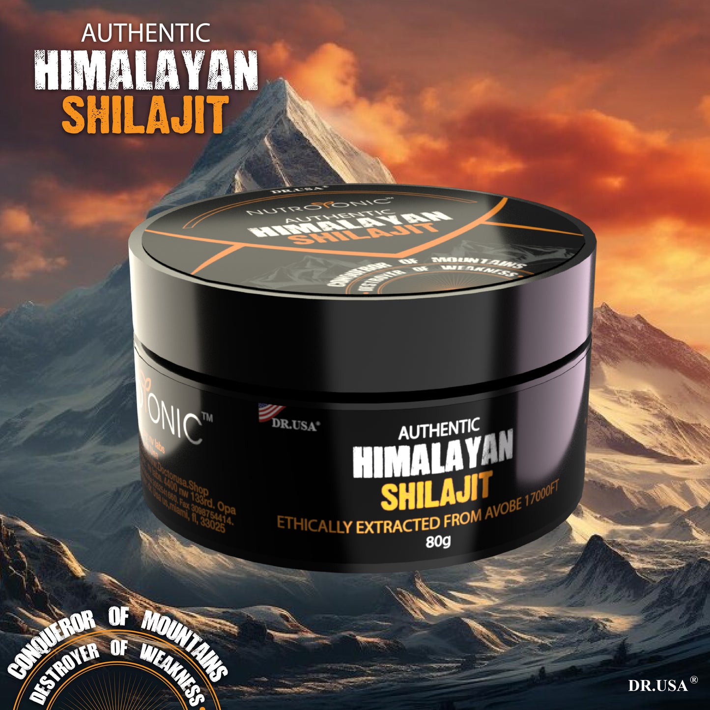 SHILAJIT Premium del Himalaya